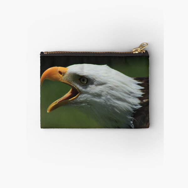Item preview, Bald Eagle Chirping designed and sold by rhamm.