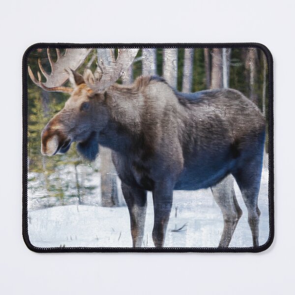Item preview, 306. designed and sold by Dawn van Doorn.