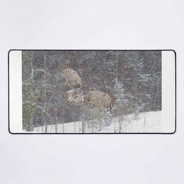 Item preview, Through the Snow - Great Grey Owl designed and sold by James Cumming.