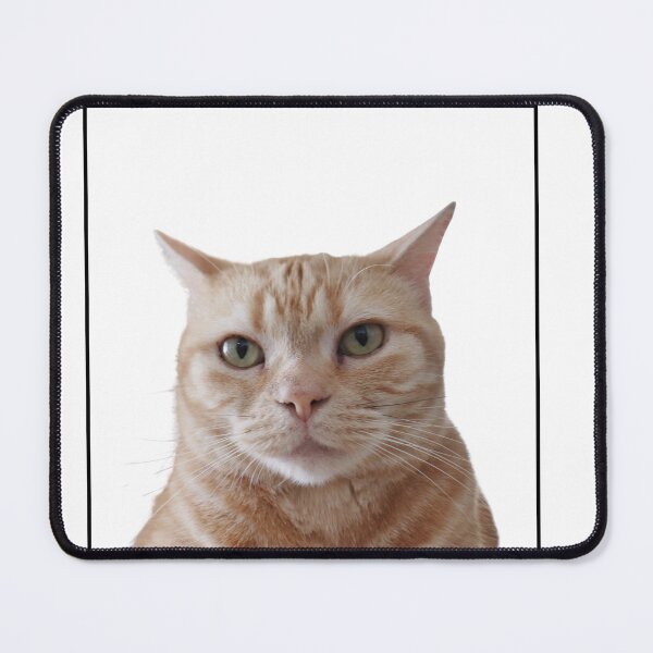 Item preview, Wary cat designed and sold by JRsmail.
