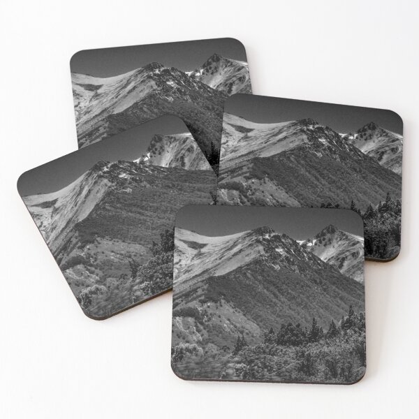 Item preview, Panoramic forest and andes mountains landscape, nahuel haupi park, argentina designed and sold by DFLC Prints.