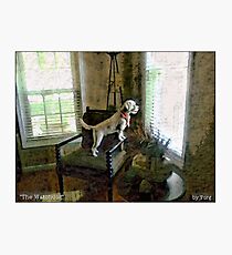 The Watchdog Photographic Print