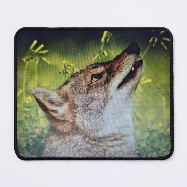 Item preview,  A jackel looking up designed and sold by NURIAVIGAD.