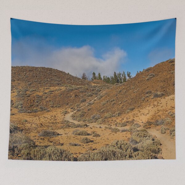 Item preview, Trail through the volcanic landscape of Teide national park, Tenerife designed and sold by xophotography.