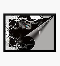 Black Widow Photographic Print