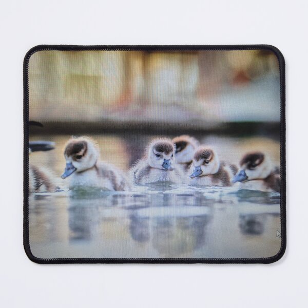 Item preview, Baby ducks designed and sold by NURIAVIGAD.