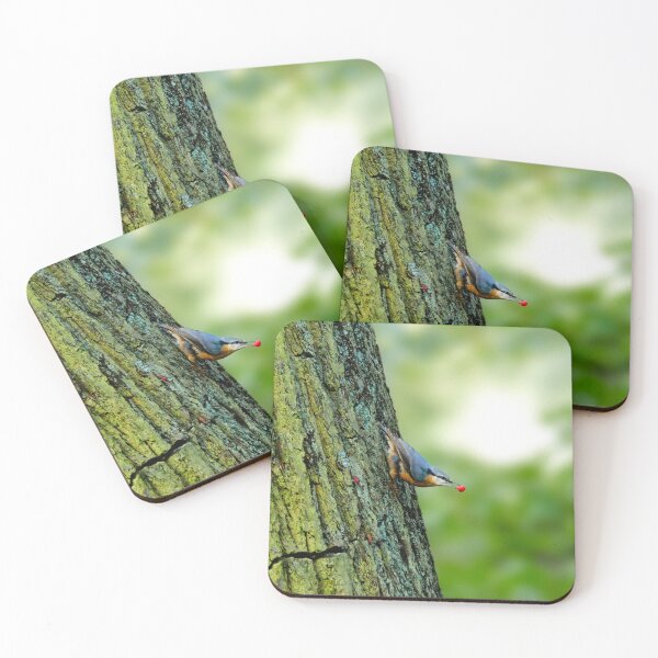 Item preview, Nuthatch eating designed and sold by photosByFlorian.