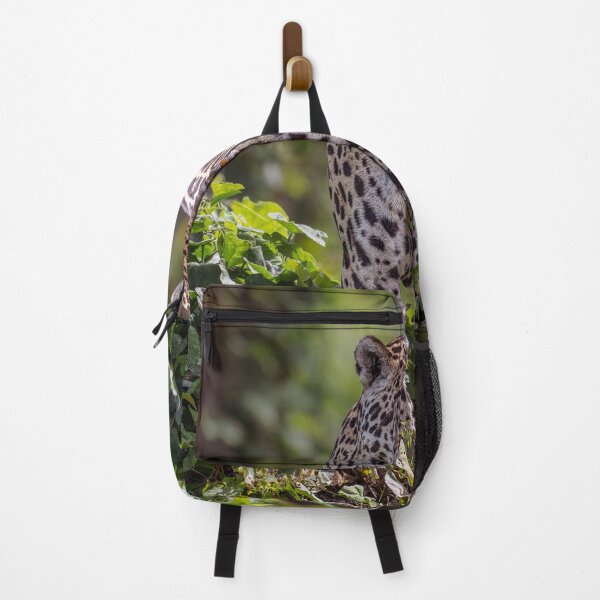 Item preview, Jaguar on the Prowl 3 Pantanal Brazil designed and sold by PhotoArt by Joan Carroll.