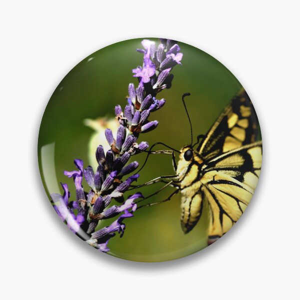 Item preview, Butterfly honey designed and sold by 3Spirit.