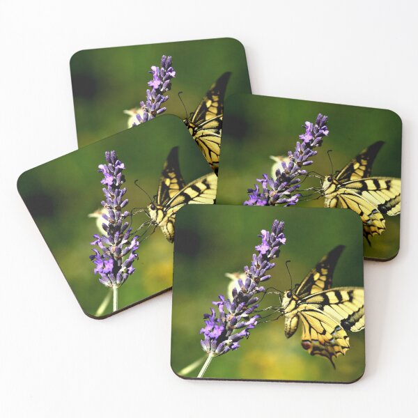 Item preview, Butterfly honey designed and sold by 3Spirit.