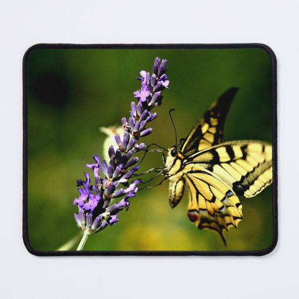 Item preview, Butterfly honey designed and sold by 3Spirit.