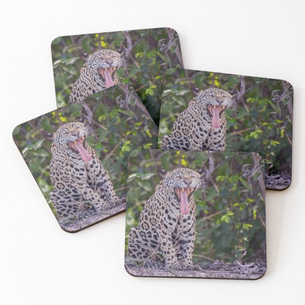 Item preview, Jaguar Yawns Pantanal Brazil designed and sold by PhotoArt by Joan Carroll.