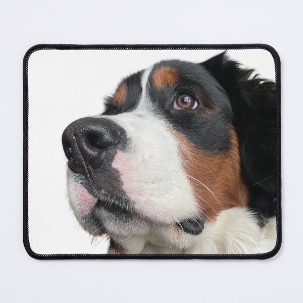Item preview, Bernese mountain dog designed and sold by PoPoMakesArt.