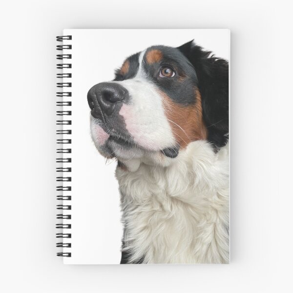 Item preview, Bernese mountain dog designed and sold by PoPoMakesArt.