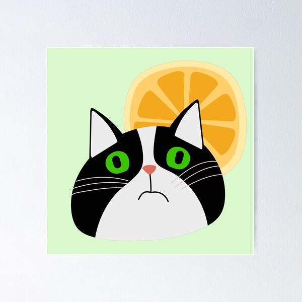 Item preview, Boho cat with citrus orange lemon designed and sold by bohoanimals.