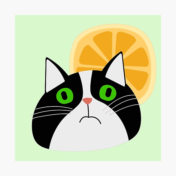 Item preview, Boho cat with citrus orange lemon designed and sold by bohoanimals.