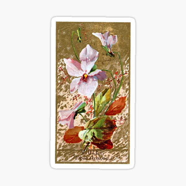 Item preview, Violet (Viola Cannina) Chromolithograph designed and sold by mamiespaw.