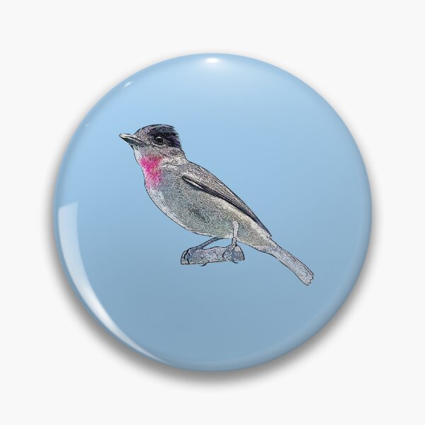 Item preview, Rose-throated Becard Black Alternate Design  designed and sold by designsasstultd.