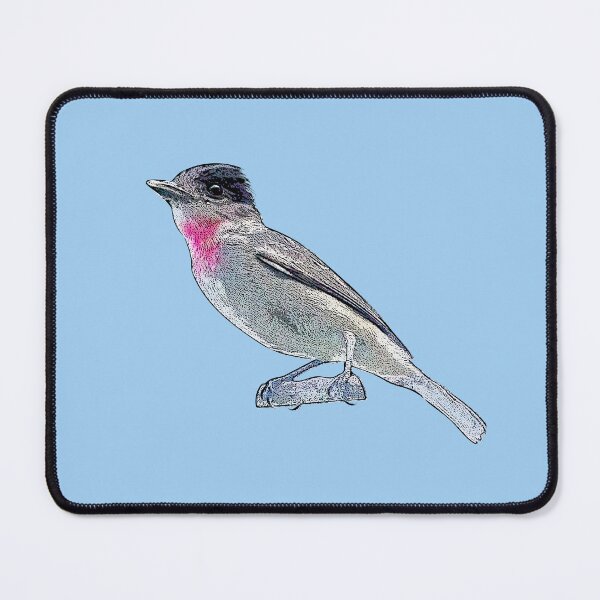 Item preview, Rose-throated Becard Black Alternate Design  designed and sold by designsasstultd.
