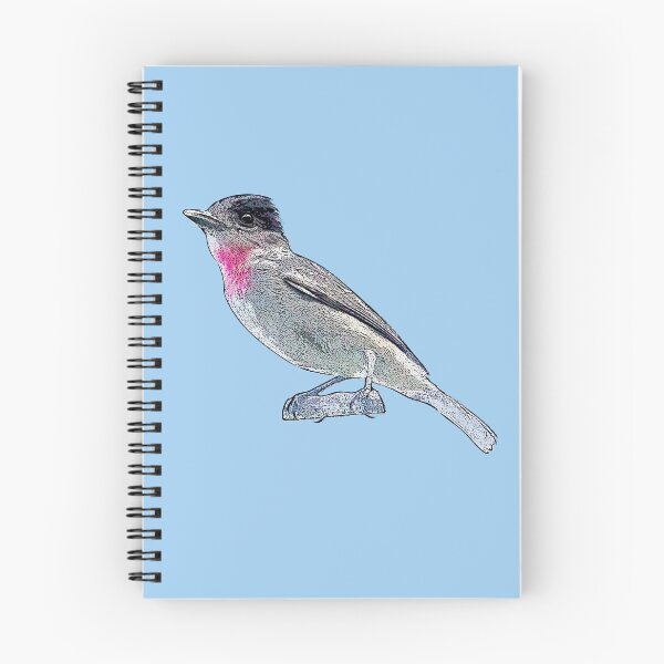 Item preview, Rose-throated Becard Black Alternate Design  designed and sold by designsasstultd.