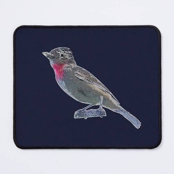 Item preview, Rose-throated Becard White Alternate Design  designed and sold by designsasstultd.