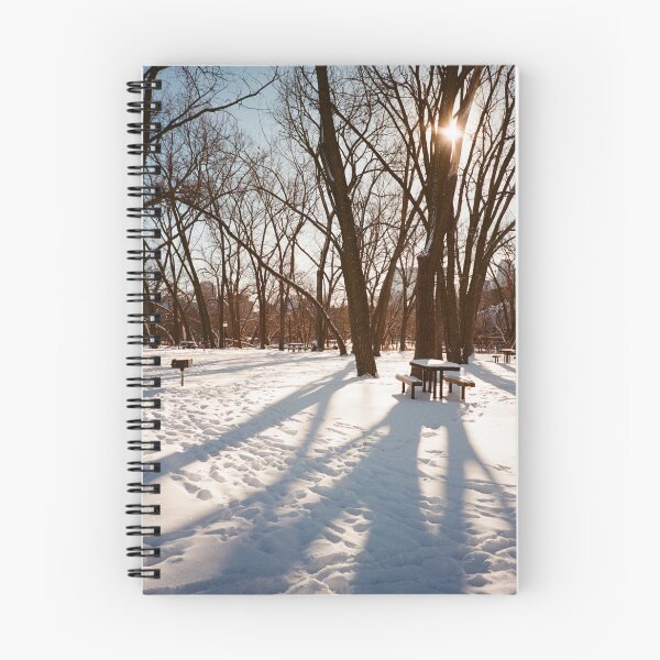 Item preview, Winter Park 35mm Photograph designed and sold by ztrnorge.