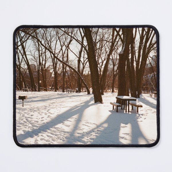 Item preview, Winter Park 35mm Photograph designed and sold by ztrnorge.