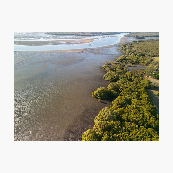 Item preview, Aerial View of Coastal Mangroves and Tidal Flats designed and sold by Michael McGimpsey.