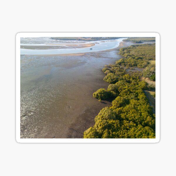 Item preview, Aerial View of Coastal Mangroves and Tidal Flats designed and sold by Michael McGimpsey.