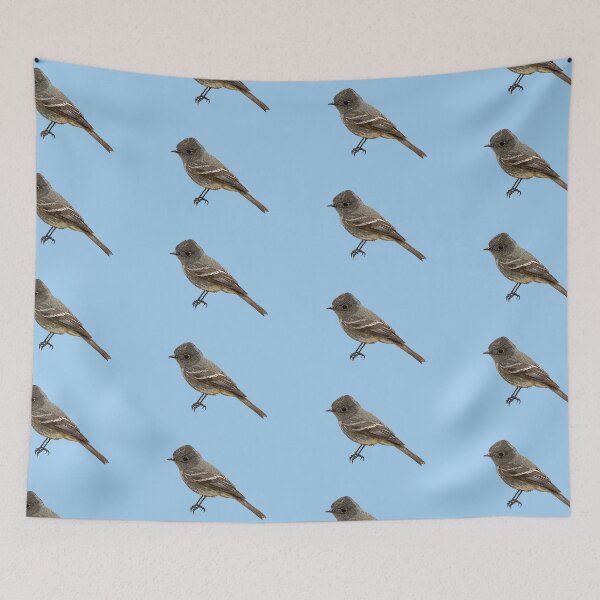 Item preview, Hammond's Flycatcher Color Design  designed and sold by designsasstultd.