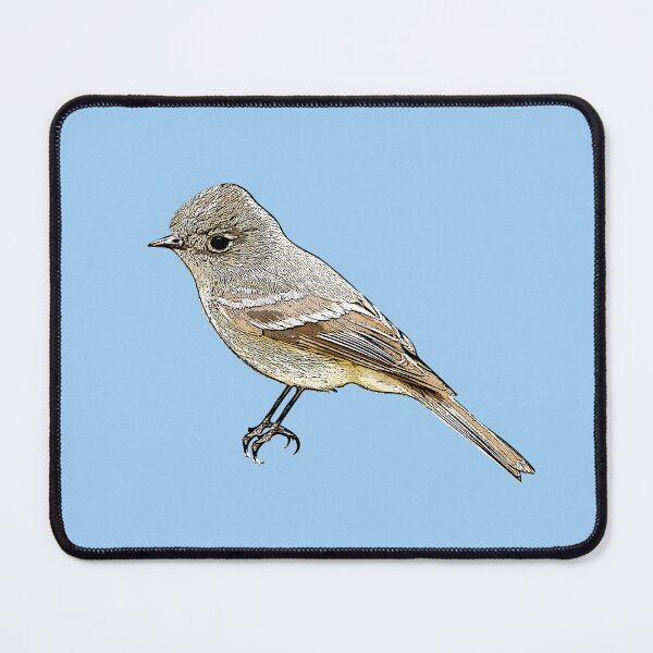 Item preview, Hammond's Flycatcher Black Alternate Design  designed and sold by designsasstultd.