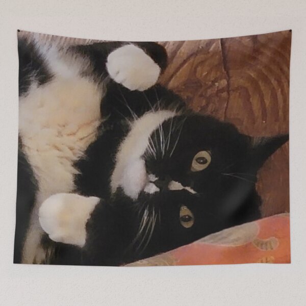 Item preview, Adorable Tuxedo Cat at Play designed and sold by Rebecca Jane.