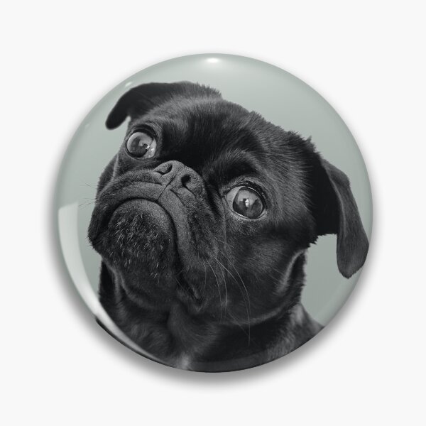 Item preview, Black Pug Funny designed and sold by simpleones.