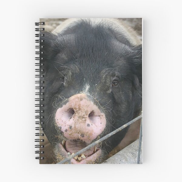 Item preview, Big Pig Smiles designed and sold by tanooklings.