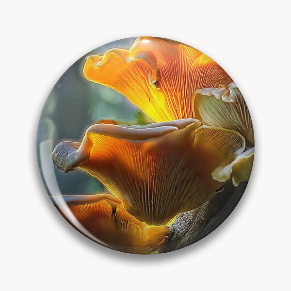 Item preview, Jack-o'-lantern mushrooms designed and sold by andreisky.