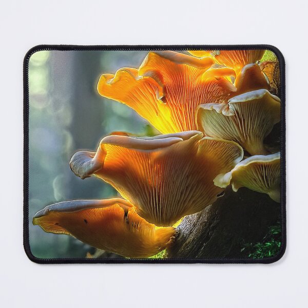 Item preview, Jack-o'-lantern mushrooms designed and sold by andreisky.