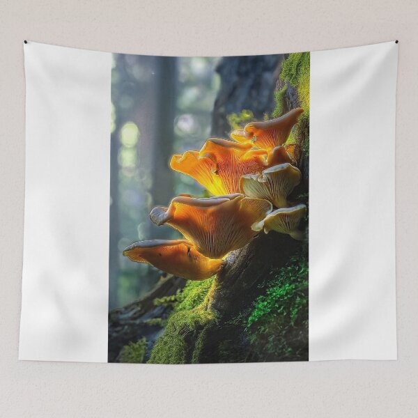 Item preview, Jack-o'-lantern mushrooms designed and sold by andreisky.