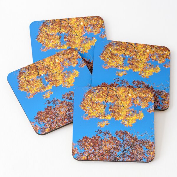 Item preview, Fiery Sunlit Canopy designed and sold by bjtomiko.