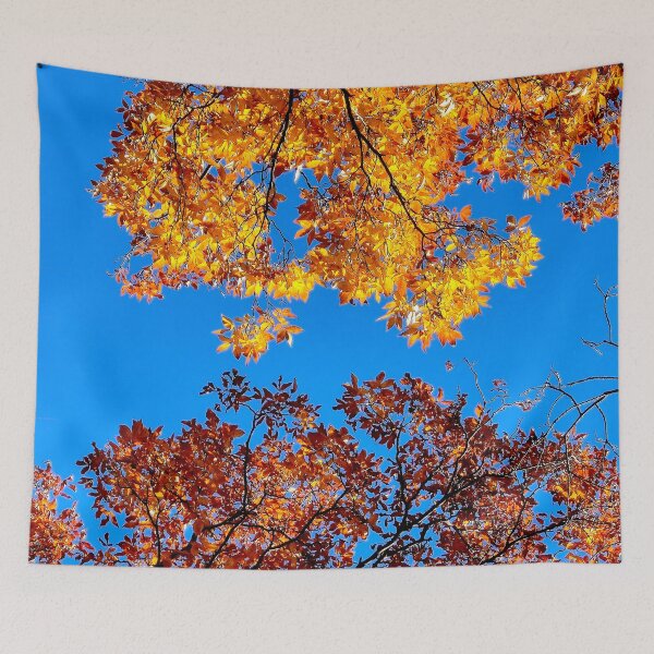 Item preview, Fiery Sunlit Canopy designed and sold by bjtomiko.