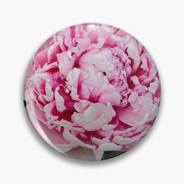 Item preview, Pondering Peonies designed and sold by TSinclairArt.