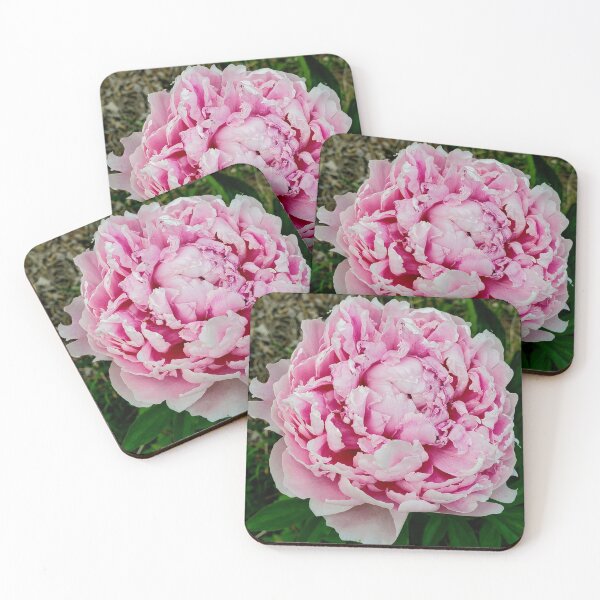 Item preview, Pondering Peonies designed and sold by TSinclairArt.