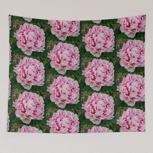 Item preview, Pondering Peonies designed and sold by TSinclairArt.