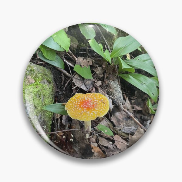 Item preview, Cute mushroom picture designed and sold by SasqWild.