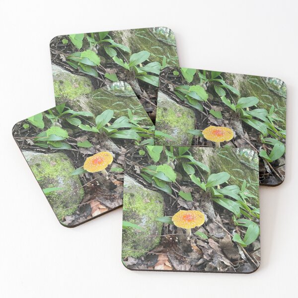 Item preview, Cute mushroom picture designed and sold by SasqWild.
