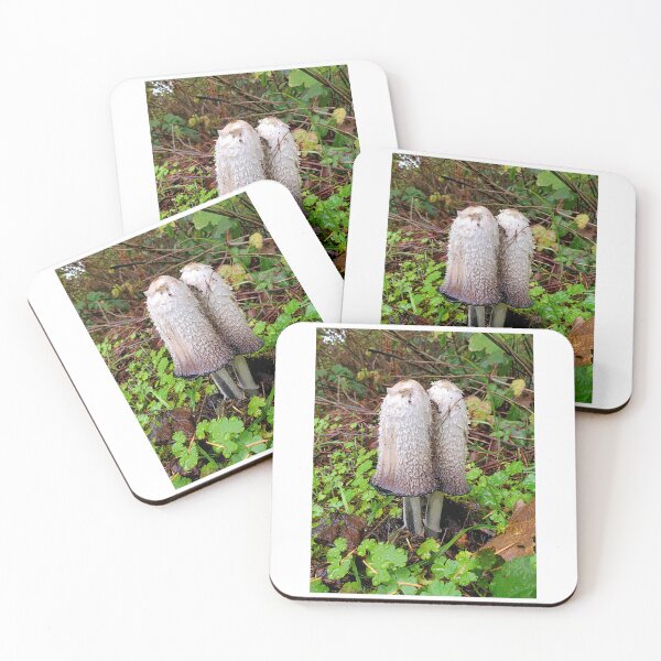 Item preview, Shaggy Ink Cap - Camas, WA  designed and sold by moon.over.pnw.