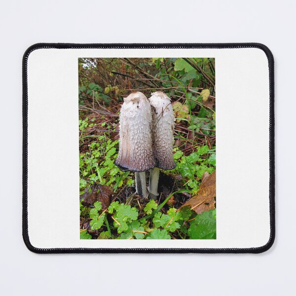 Item preview, Shaggy Ink Cap - Camas, WA designed and sold by moon.over.pnw.