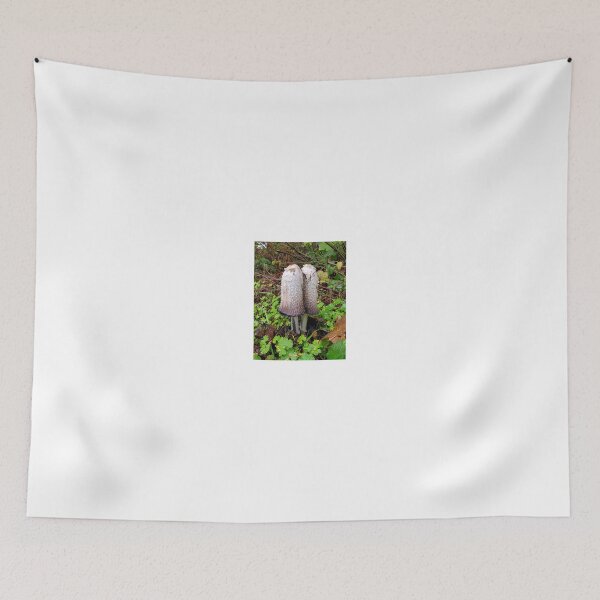 Item preview, Shaggy Ink Cap - Camas, WA  designed and sold by moon.over.pnw.