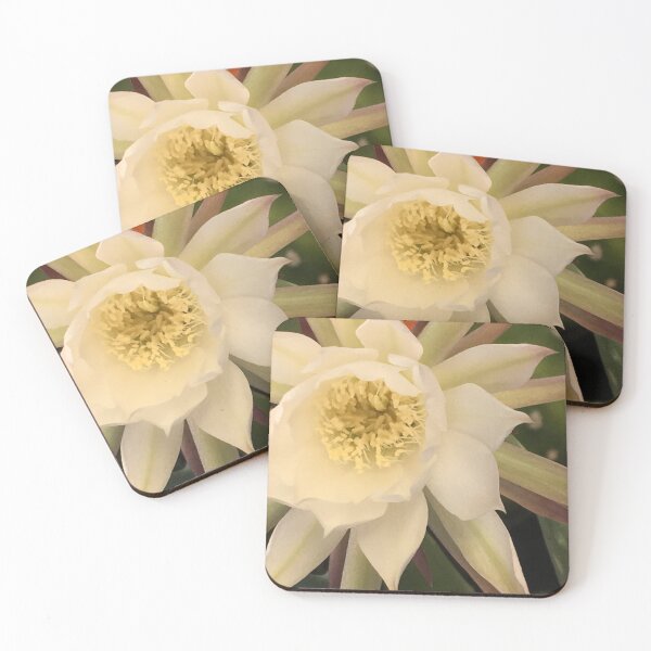 Item preview, Orchid Cactus designed and sold by Betsy Phillips.