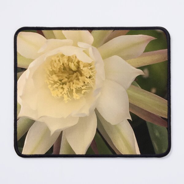 Item preview, Orchid Cactus designed and sold by Betsy Phillips.