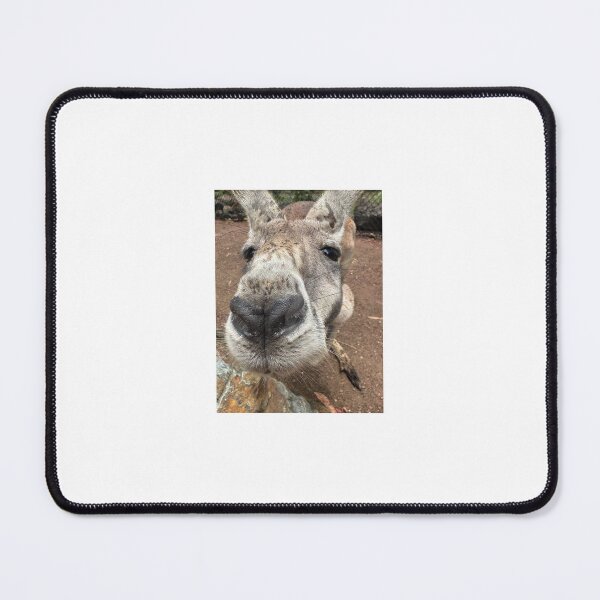 Item preview, KANGAROO - Close-up designed and sold by trevorp.